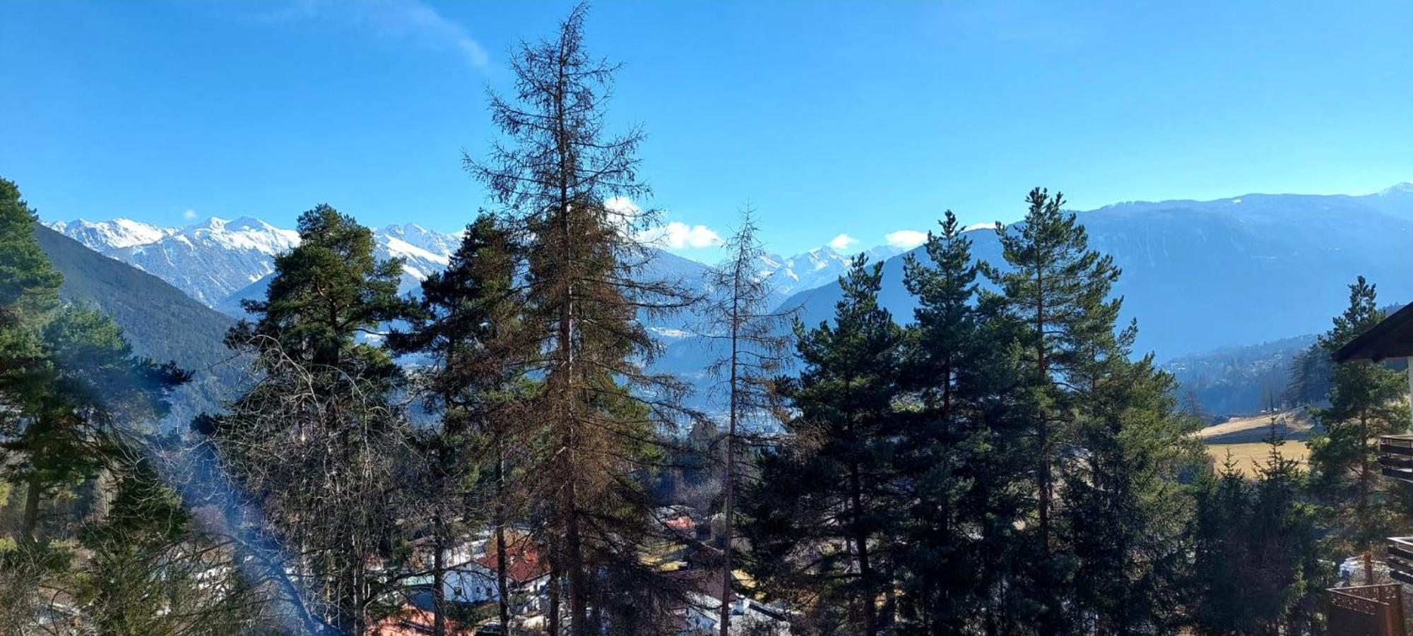 Alpenzauber Tilg